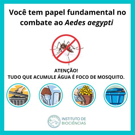 Evite O Aedes Aegypti No Ib Você Tem Papel Fundamental No Combate Ao