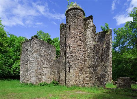 Glenabbey House Careys Castle Wood © Mike Searle Geograph Ireland