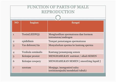 Biologi Gonzaga Rangkuman Reproduksi Manusia