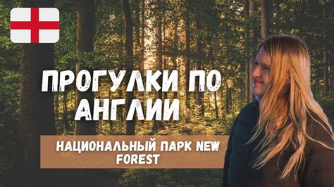 Прогулки по Англии: Национальный Парк New Forest. Сосновый лес и много ...