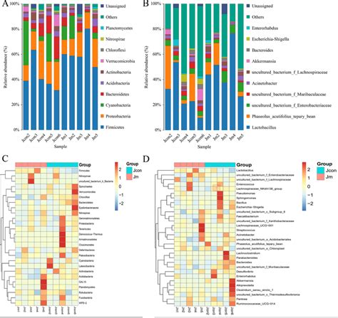 Mice Gut Microbial Composition Distribution And Heat Map A The