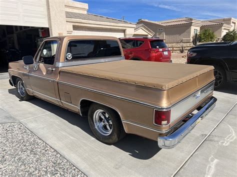 148 1980 Chevrolet C10 Fleetside Pickup MAG Auctions Best