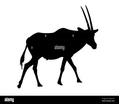 Realistic Illustration Of Silhouettes Of Gazelle Or Antelope Horned