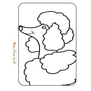 Caniche des coloriages inédits avec le joyeux et intelligent chien