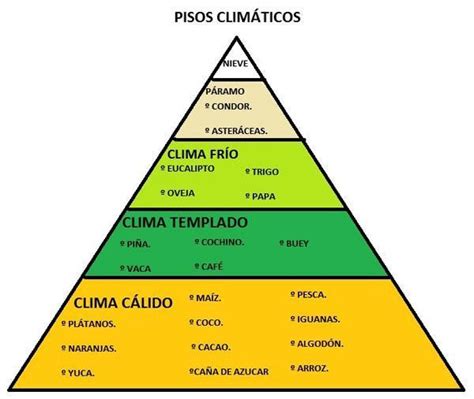 En el Ecuador la relación entre la altura y la temperatura de las