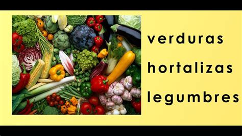 Verduras Hortalizas Y Legumbres Youtube