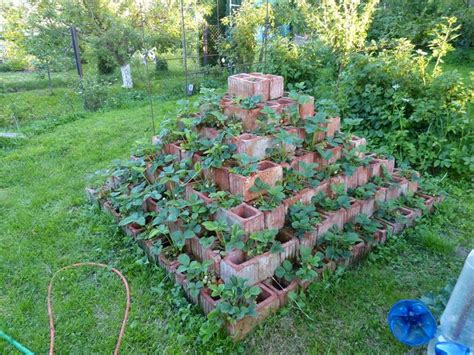 Zahrádka a moje malá slepičí farma Pyramidový záhon na jahody z cihel