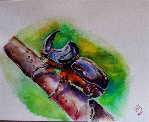 Rhinoceros Beetle By SweetTais Rhinoceros Drawings Amazing Art