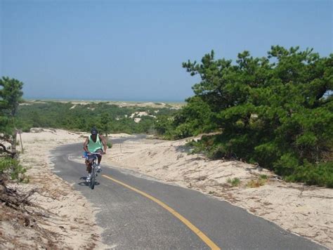 Le Province Lands Bike Trail Gary Lawrence Bike Trails Cape Cod