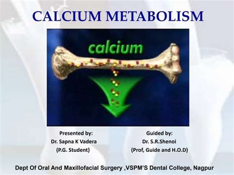 Calcium metabolism handout