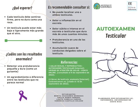 Autoexamen Testicular Autoexamen E L A B O R A D O P O R E S T U D I