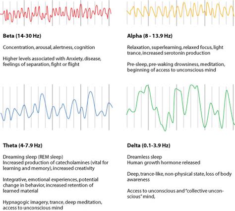 Brain Wave Activity | Brain-Sync Frequency Music Therapy