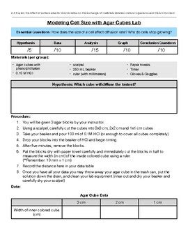 Agar Cube Cell Size Surface Area To Volume Ratio Lab Tpt