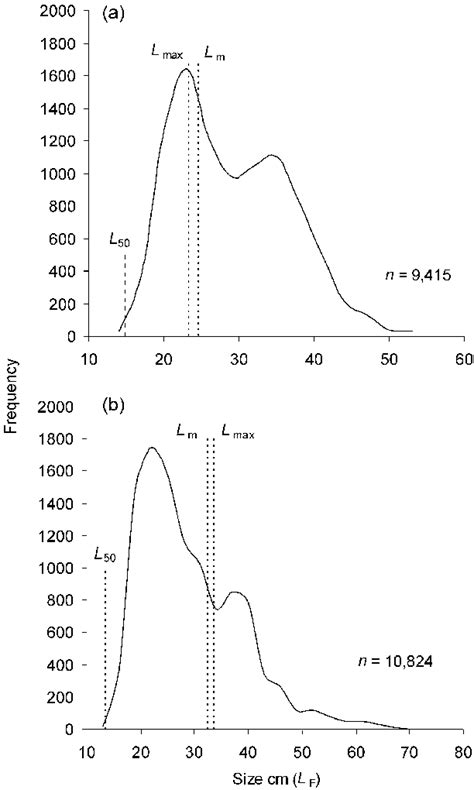 Aggregated Length Frequency Distributions For A C Bajad And B G Download Scientific