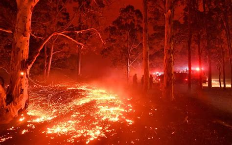 Nsw South Coast Bushfires Leave Two Dead With Telecommunications