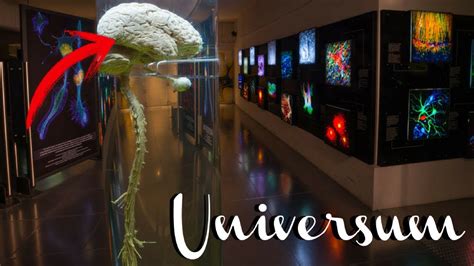 Universum Museo De Las Ciencias UNAM 2018 YouTube