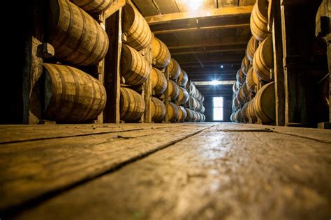 These Are The 8 BEST Kentucky Bourbon Tours Near Bardstown