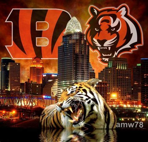 Cincinnati Bengals Who Dey Football Team Sport Images Cincinnati