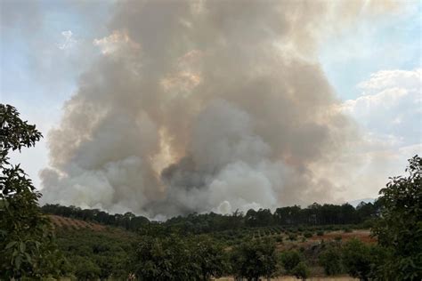 Activan Alerta Atmosf Rica En Mazamitla Concepci N De Buenos Aires Y