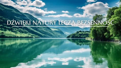 Nature Sounds For Good Sleep Zrelaksuj Si I Uzdrawiaj D Wi Kiem