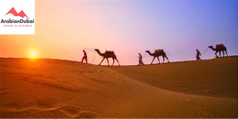 Exploring The Enigma Dubai Sahara Desert Tour By Arabian Dubai Tour