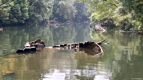 Ss Croydon Wrecked In The Savage River Tarkin Flickr