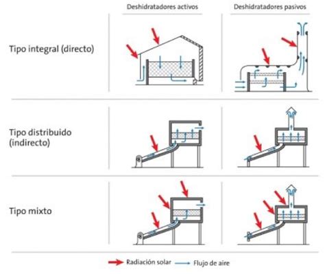 Cómo Funcionan los Deshidratadores Solares Guía Paso a Paso para