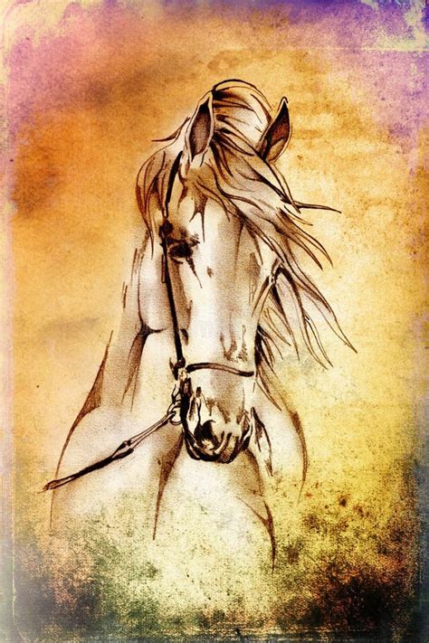 Freehand Horse Head Pencil Drawing Stock Illustration - Illustration of ...