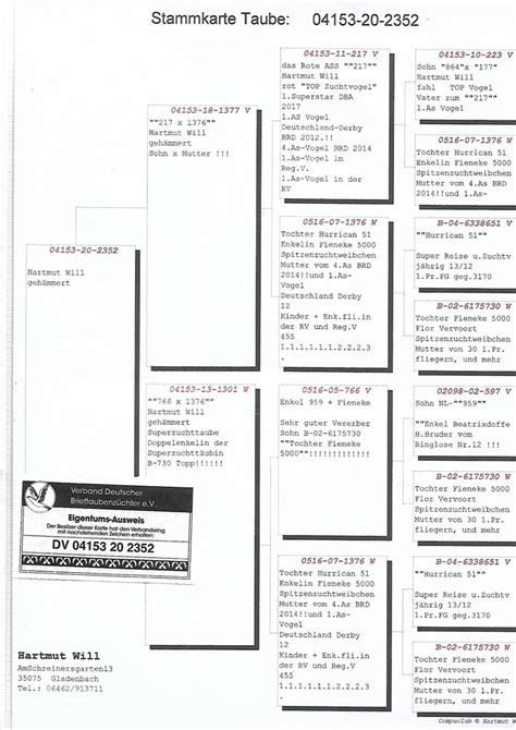 Brieftauben Auktion De 2352 W Sohn 217 Will X Enkelin Hurrican