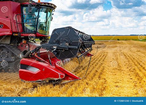 Harvester Mower Mechanism Cuts Wheat Spikelets Agricultural Harvesting