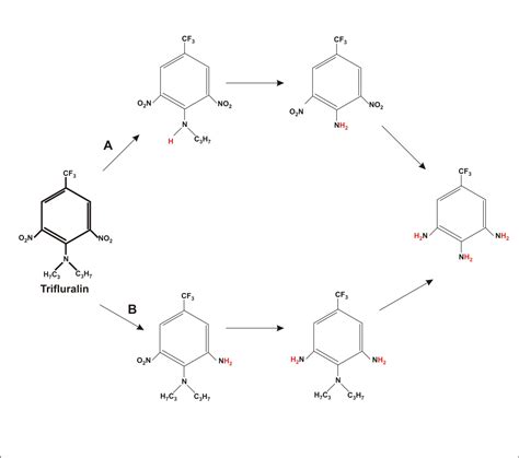 Characterization, Modes of Action and Effects of Trifluralin: A Review ...