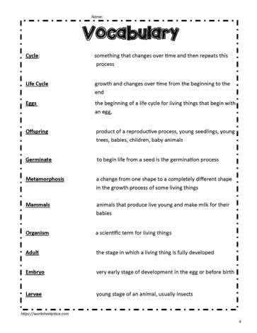 Life Cycle Vocab Worksheets