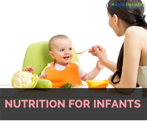 Nutrition And Development In Infants Nutrition Pics