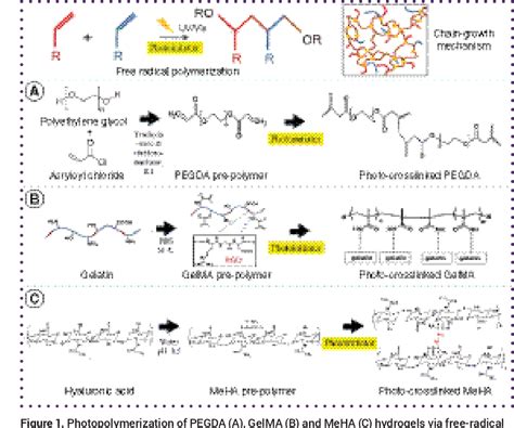 Figure 1 From Recent Advances In Photo Crosslinkable Hydrogels For