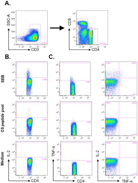 Whole Blood Intracellular Cytokine Detection By Flow Cytometry