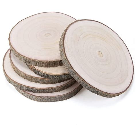 6Pcs 9-10 Inch Natural Paulownia Wood Slices for DIY, Table Decor ...