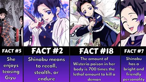 Interesting Facts You Might Not Know About Shinobu Kocho From Demon