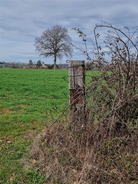 Paysage Savignacois En Mars Tiandi