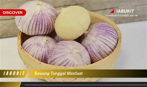 Temukan 7 Manfaat Bawang Tunggal Yang Bikin Kamu Penasaran Discover