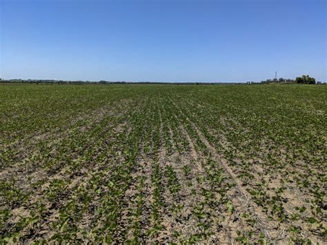 Buenos Aires Declaró La Emergencia Agropecuaria Para Municipios