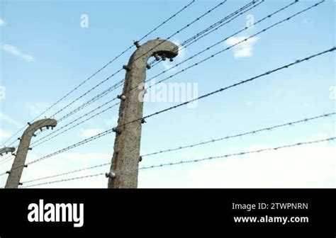 Hitlers Germany Stock Videos Footage HD And 4K Video Clips Alamy