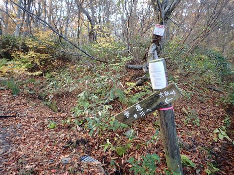 伯耆大山2018 11 4 香取・甲ヶ山・一向ヶ平ル㉘ ほうきだいせん かとり いっこうがなる 20181104（日） 山