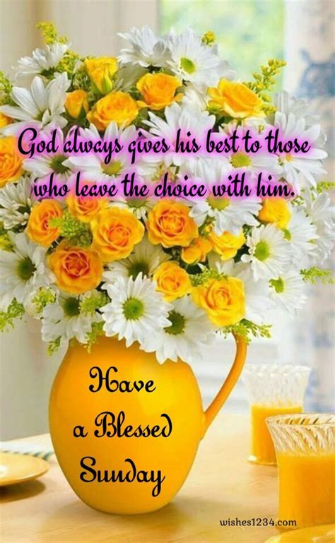 Pin On Happy Sunday Sunday Blessings Quotes And Images