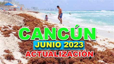 Canc N Hoy Junio Mucho Sargazo Cual Es La Mejor Playa De Canc N