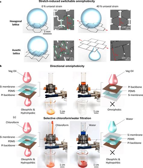 Pi Membranes Showing Stretch Induced Switchable Omniphobicity And