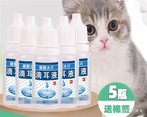 猫咪有耳螨怎么办？ 知乎