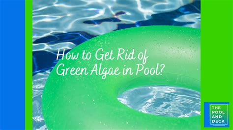 How to Get Rid of Green Algae in Pool? (9 Step Effective Process)