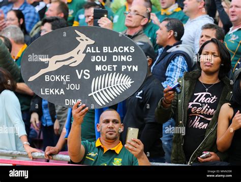 CAPE TOWN, SOUTH AFRICA - Saturday 7 October 2017, a springbok fan in ...