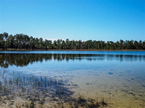 Clearwater Lake Recreation | Imagine Our Florida, Inc