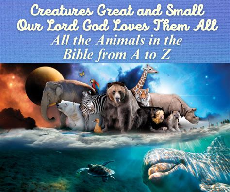 Creatures Great And Small Our Lord God Loves Them All First